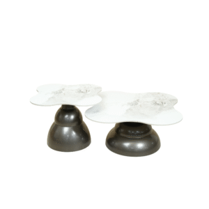 CT-1+1-A239